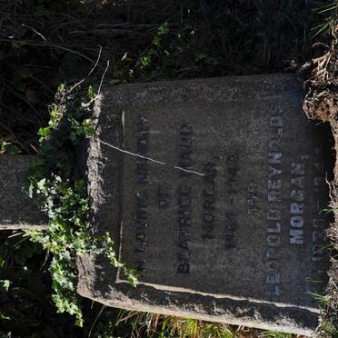 MORGAN Leopold Reynolds 1875-1944 &amp; Beatrice Maud 186?-1942