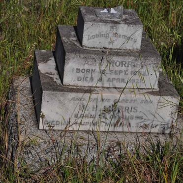 MORRIS A.H. 1863-1921 :: MORRIS W.H. 1896-1931