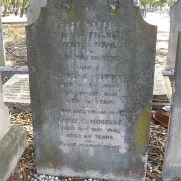 MORRELL Henry -1896 &amp; Catharina -1908 :: MORRELL Attie C.  -1916