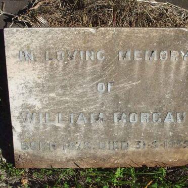 MORGAN William 1878-1935