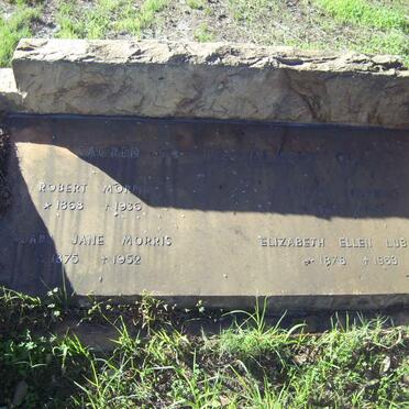 MORRIS Robert 1868-1936 &amp; Clara Jane 1875-1952 ::  ??  :: LUBINSKI Elizabeth Ellen 1878-1969