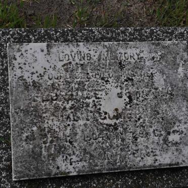 MONTGOMERY Florence ? 1904-