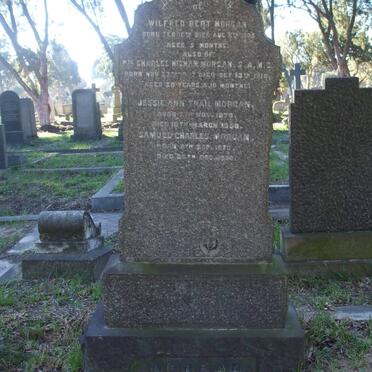 MORGAN Wilfred Bert -1905 :: MORGAN Charles Higham -1919 :: MORGAN Samuel Charles 1870-1950 &amp; Jessie Ann Trail 1870 -1950