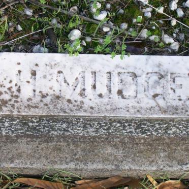 MUDGE H.