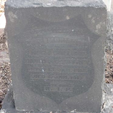 MCCAFFREY Hugh William David 1912-1915