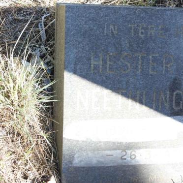NEETHLING  Hester