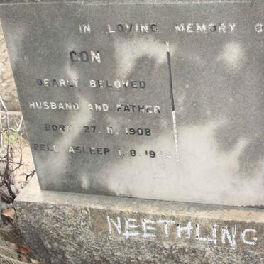 NEETHLING Con 1908-1964