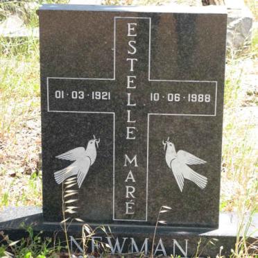 Ne - Surnames starting with the letters Ne