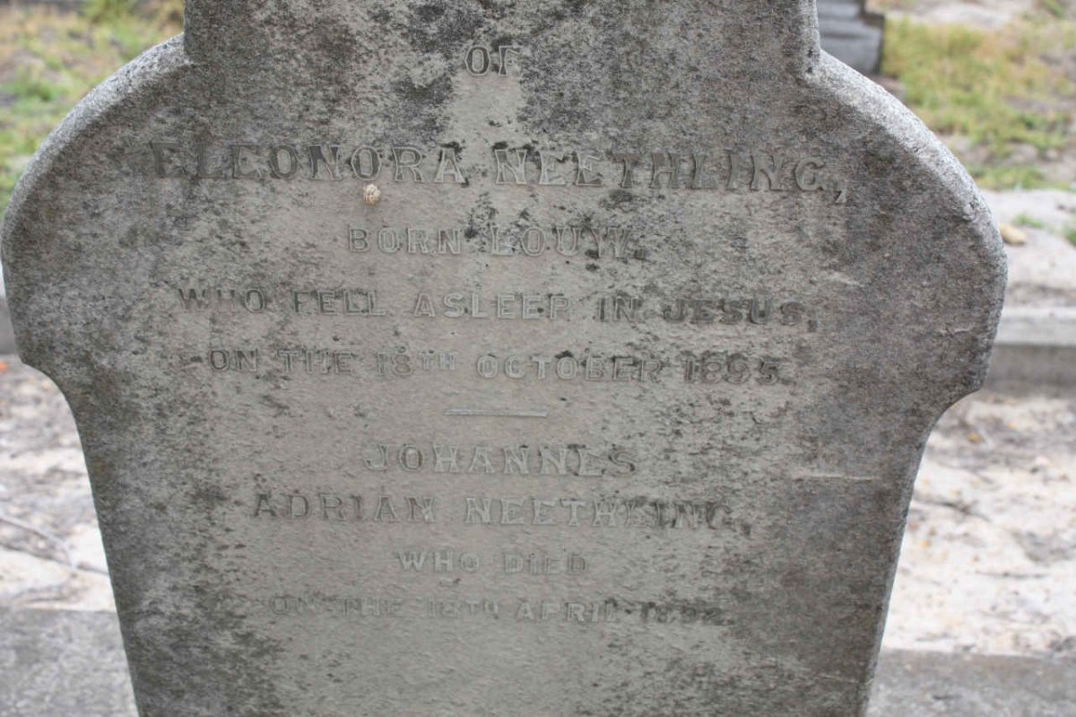 NEETHLING Johannes Adrian -1892 &amp; Eleonora LOUW  -1895