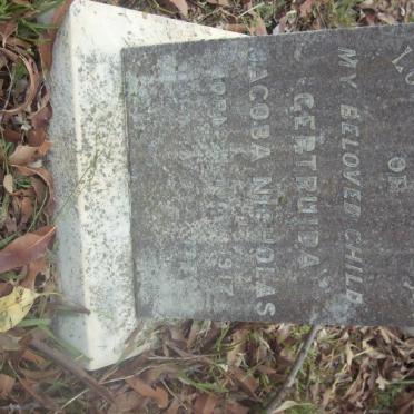 NICHOLAS Gertruida Jacoba 1917-1922