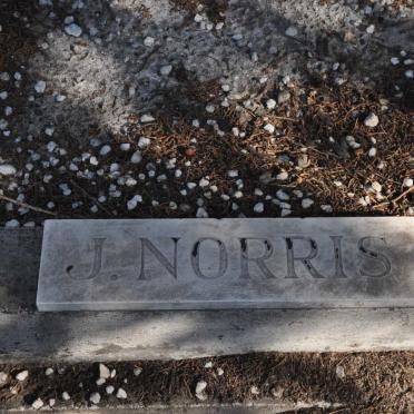 NORRIS J.