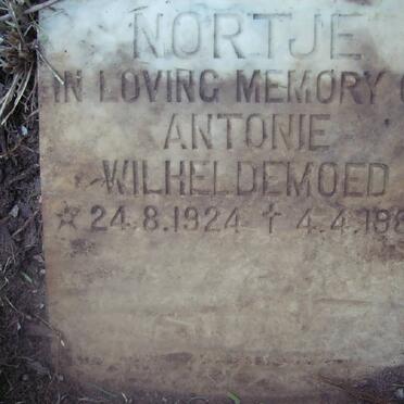 NORTJE Antonie Wilheldemoed 1924-1989