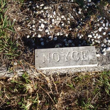NOYCE
