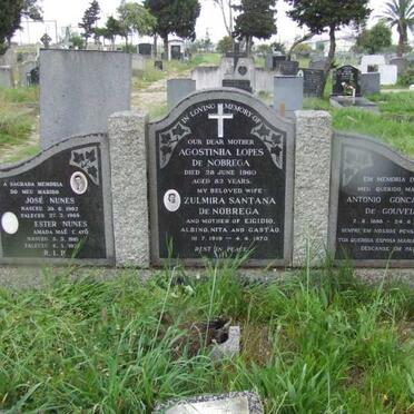 NOBREGA Agostinha Lopes, de -1960 :: NOBREGA Zulmira Santana, de 191?-1970 :: NUNES José 1902-1968 &amp; Ester 1910-197?