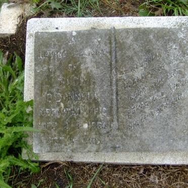 O'DONNELL Hugh -196?