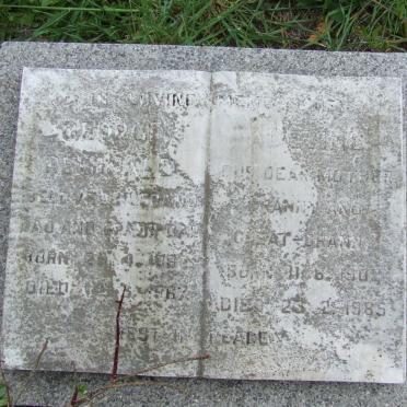 Pe - surnames starting with the letters Pe