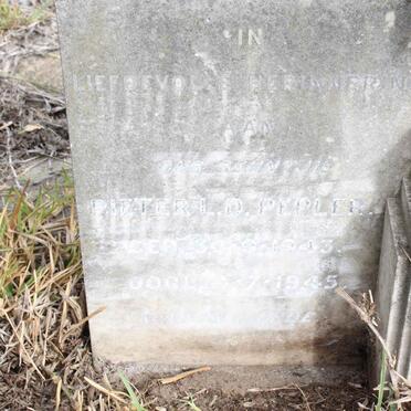 PEPLER Pieter L.D. 1943-1945