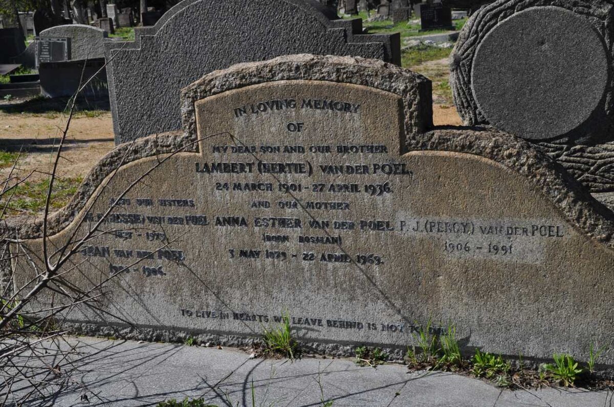 POEL Anna Esther, van der nee BOSMAN 1879-1969 :: POEL Lambert, van der 1901-1936
