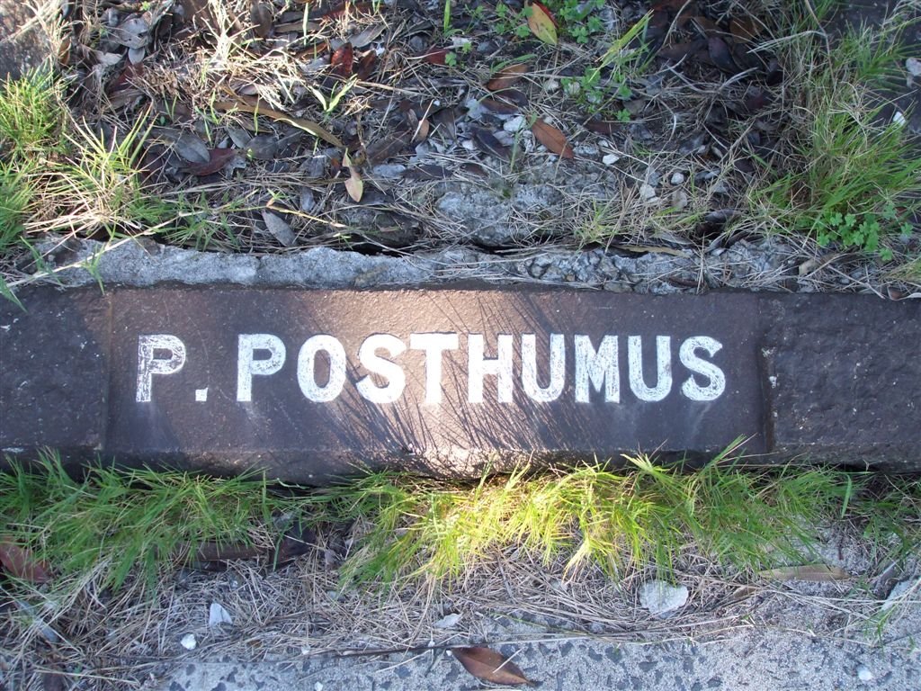 POSTHUMUS P.
