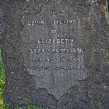 PATTISON Elizabeth Sarah 1849-1919