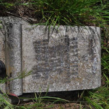 REECE Percy 1900-19??