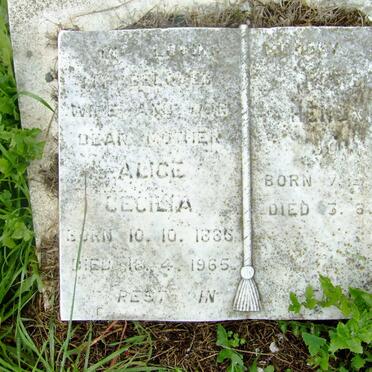 REUCK Hendry John 18?9, de -1971 &amp; Alice Cecilia 1886-1965