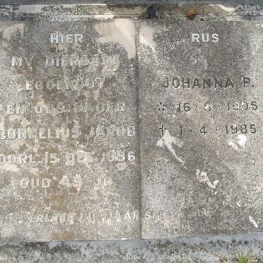 RENSBURG Cornelius Jacob, Janse van -1956 &amp; Johanna P. 1905-1985