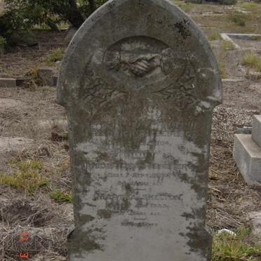 RIESEBERG Friedrich -1904 :: RIESENBERG Fredericka -1900 :: SHELTON Martha -19??