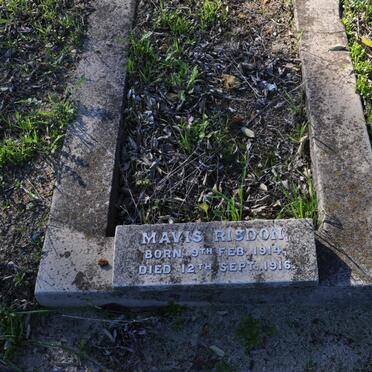 RISDON Mavis 1914-1916