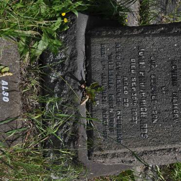 RICHARDS William -1931 :: RICHARDS John Philip -1927 :: ? Elizabeth ?