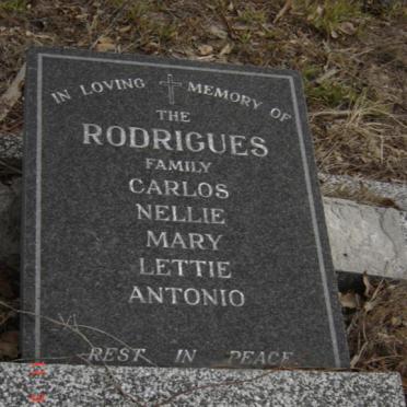 RODRIGUES Carlos :: RODRIGUES Nellie :: RODRIGUES Mary :: RODRIGUES Lettie :: RODRIGUES Antonio