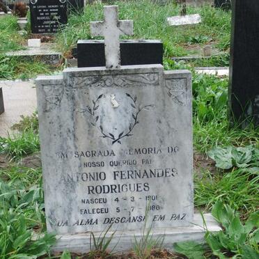 RODRIGUES Antonio Fernandes 1901-1980
