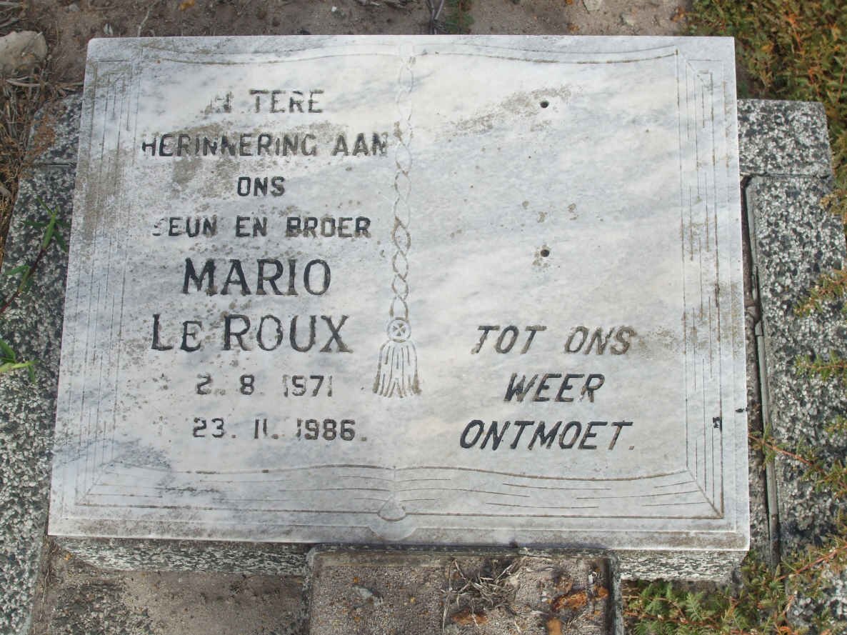 ROUX Mario, le 1971-1986