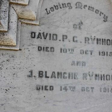 RYNHOUD :: SCHIERHOUT 