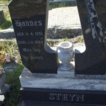 STEYN Hannes 1951-1988