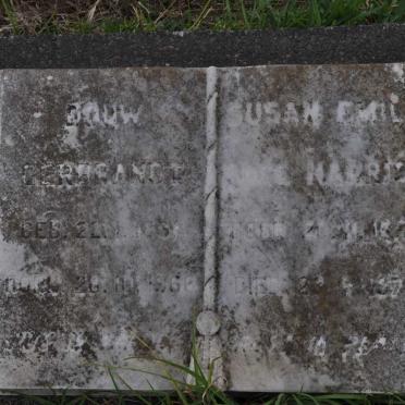 STEYN Douw Gerbrandt 1892-1966 &amp; Susan Emily HARRIS 1894-1977