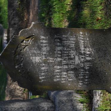 STEWART Olive 1920-1925