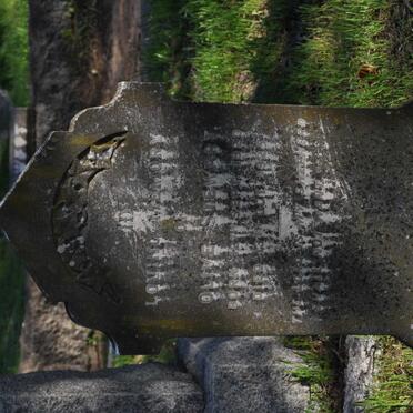 STEWART Olive 1920-1925