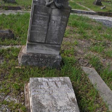 STACE James Tom -1950 &amp; Dorothy Mary WHITAKER -1947