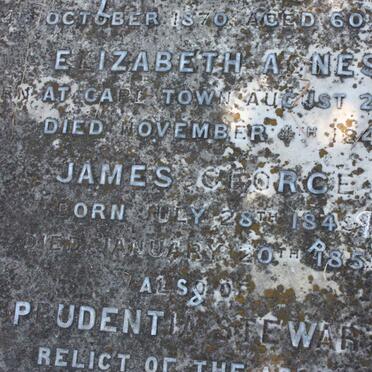 STEWART James George 1849-1952