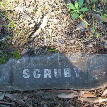 SCRUBY
