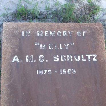 SCHOLTZ A.M.C. 1878-1963