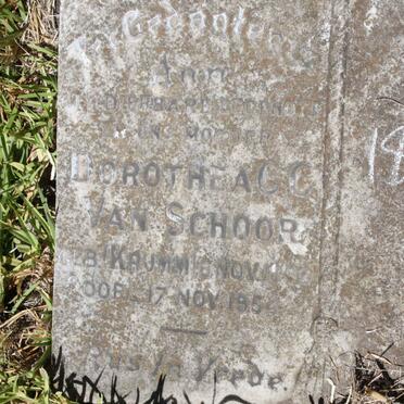 SCHOOR Dorothea C.C., van nee KRUMM 1892-1954