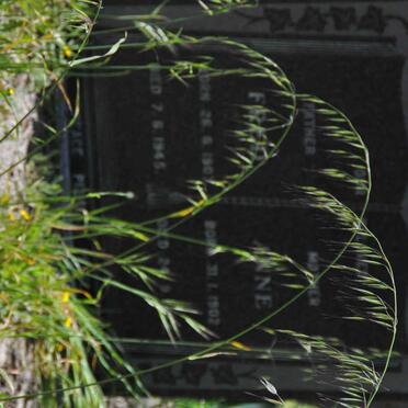 SMEDLEY Fred 1903-1945 &amp; Anne 1902- :: SMEDLEY Russell George 1954-1982