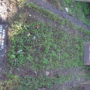 Maitland-2009May26-0832