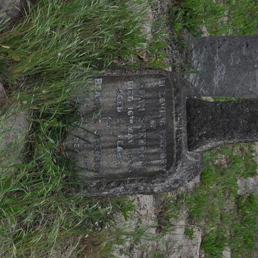 SNEDDON John -1904 &amp; Beatrice -1913