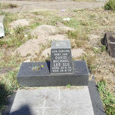 SUI David Michael Lee 1974-1974 :: WARFFEMIUS Jan 1893-1955