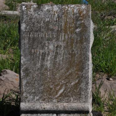 SWAIN Harriett Melora -1921