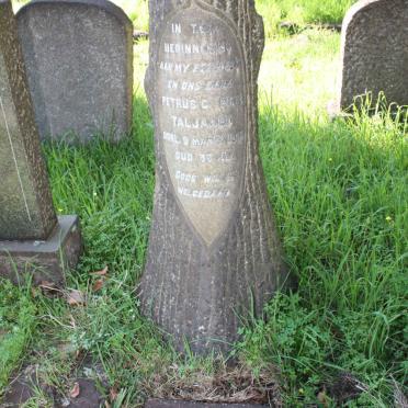 TALJAARD Petrus C. -1950