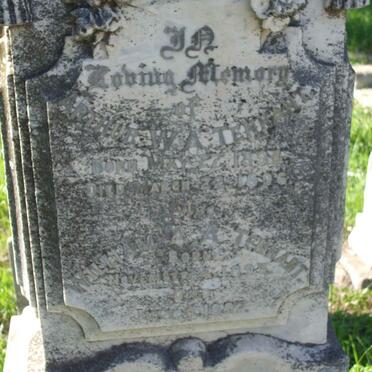 TENNANT Arthur W.A. 189?-1896 :: TENNANT William M. A.A. 1894-1897